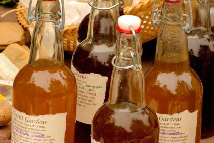 Les bienfaits du vinaigre de cidre de pomme et comment l'utiliser dans votre alimentation